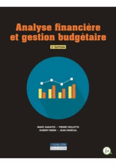 Analyse financière et gestion budgétaire 2e édition